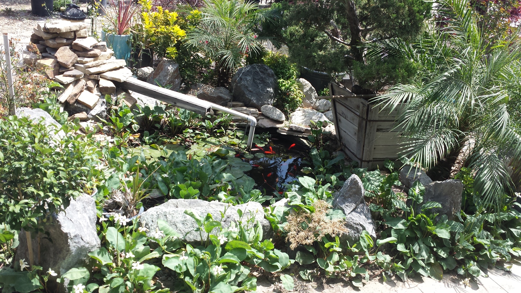 The Complete Yard Service Project