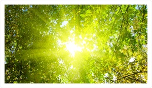 Photo(s) from 25 Dollar Plumbing Heating And Air Conditioning