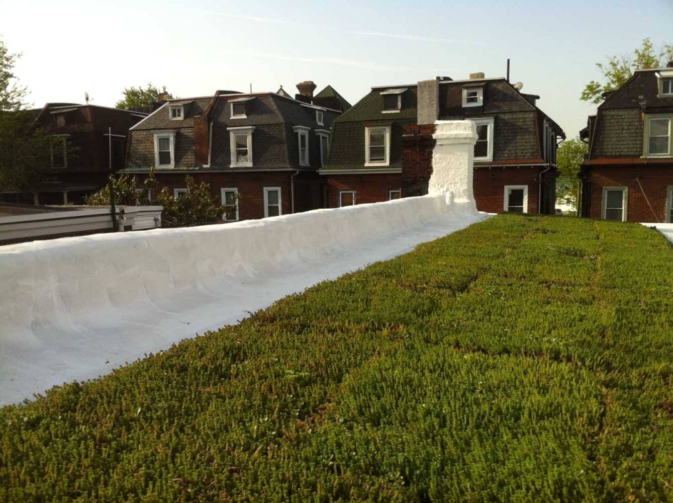 Vegetated Roofs