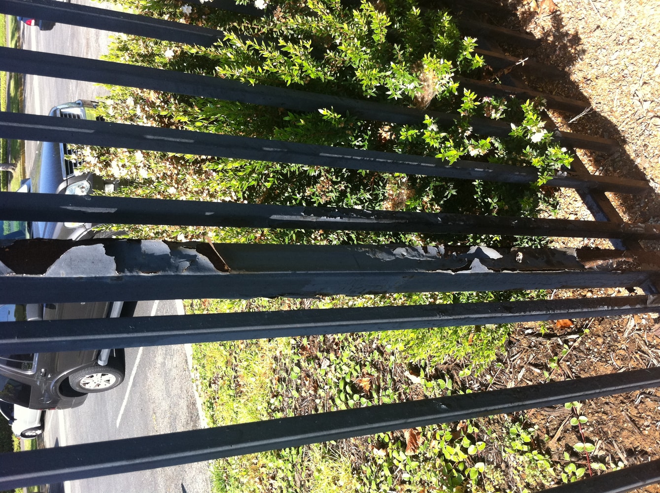 Projects by Affinity Painting Inc.