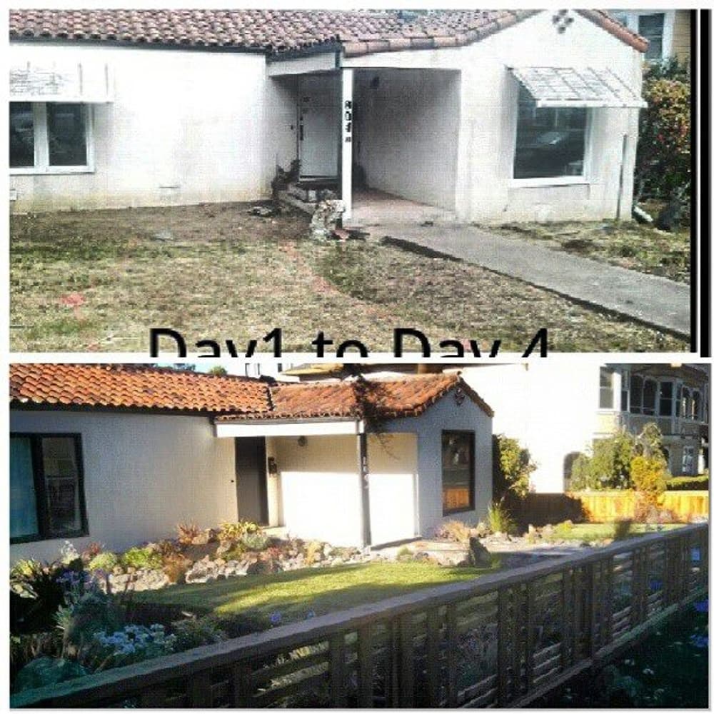 Hoopster Haven in Novato, Ca.