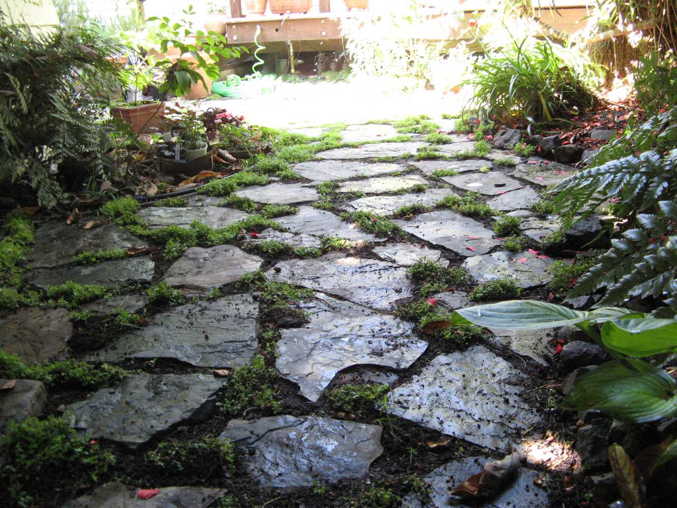 Frank Jaffe Landscape Services Project