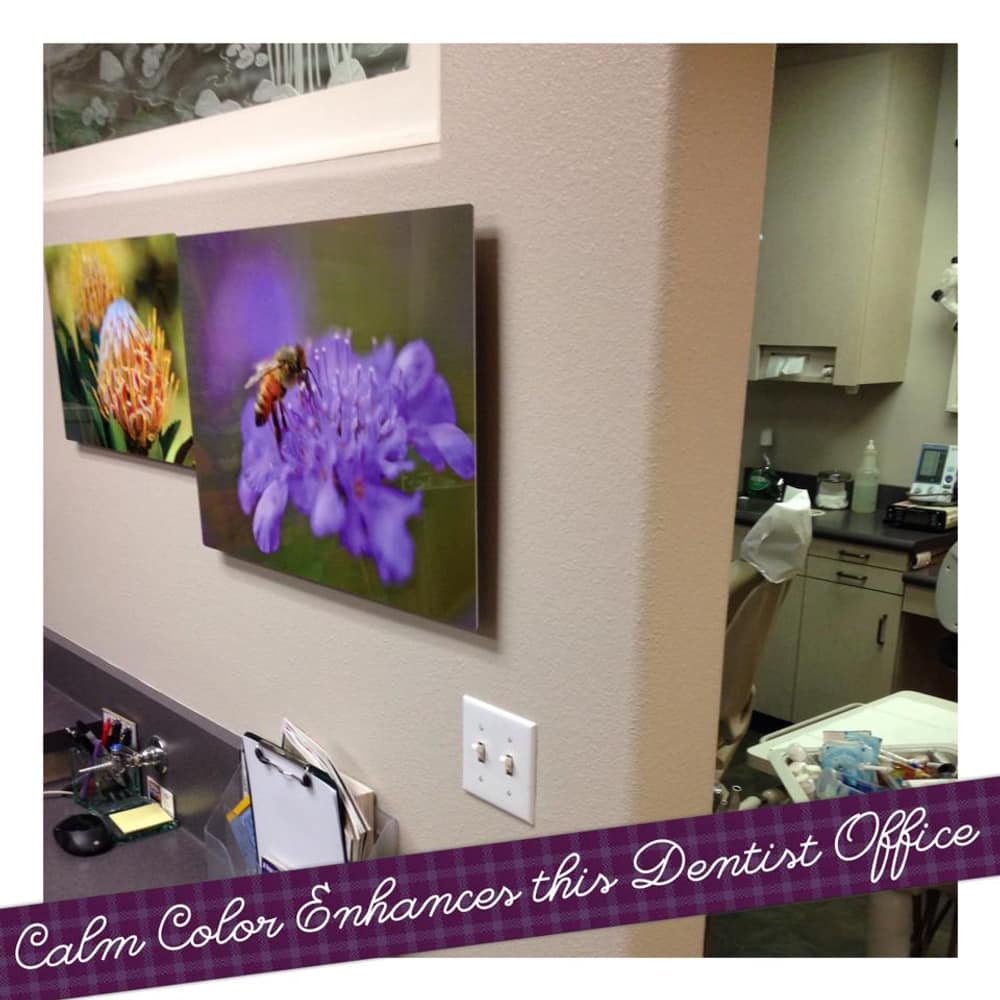 Photo(s) from Top Shelf Paint Company