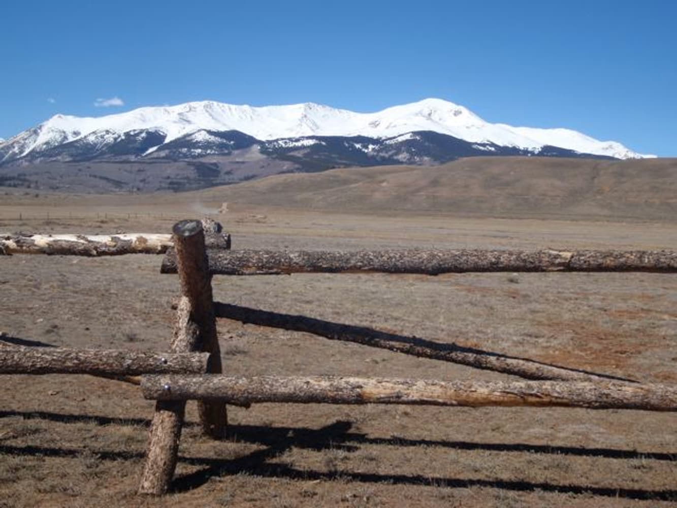 Photo(s) from All West of Colorado Tree service, Fence and Landscaping