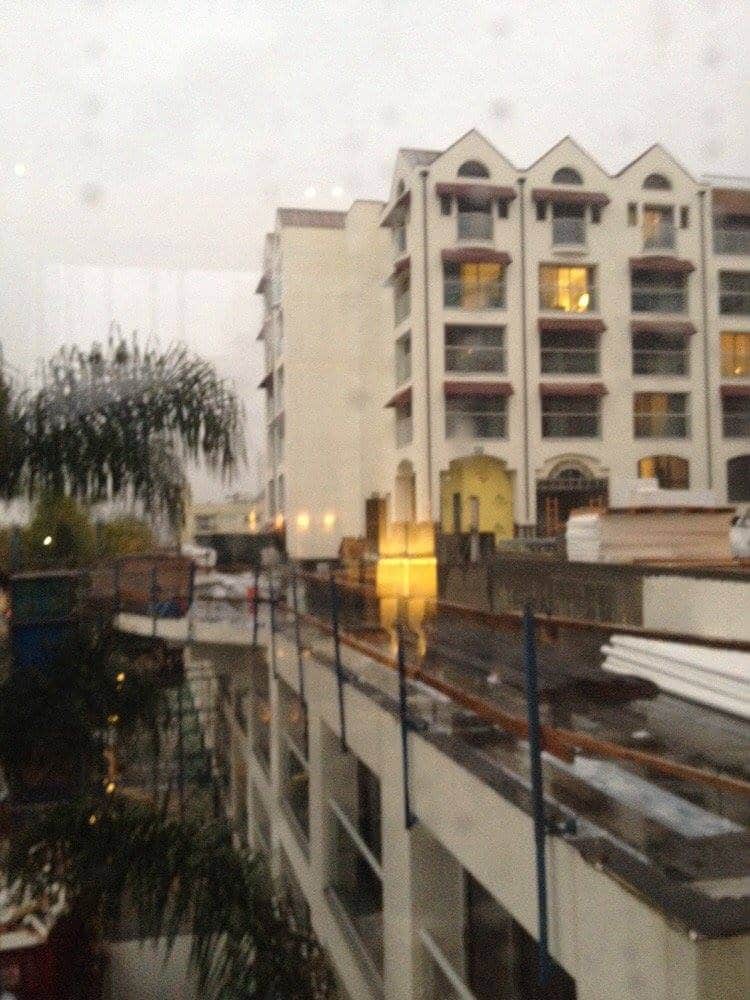 Photo(s) from Leon Pikor