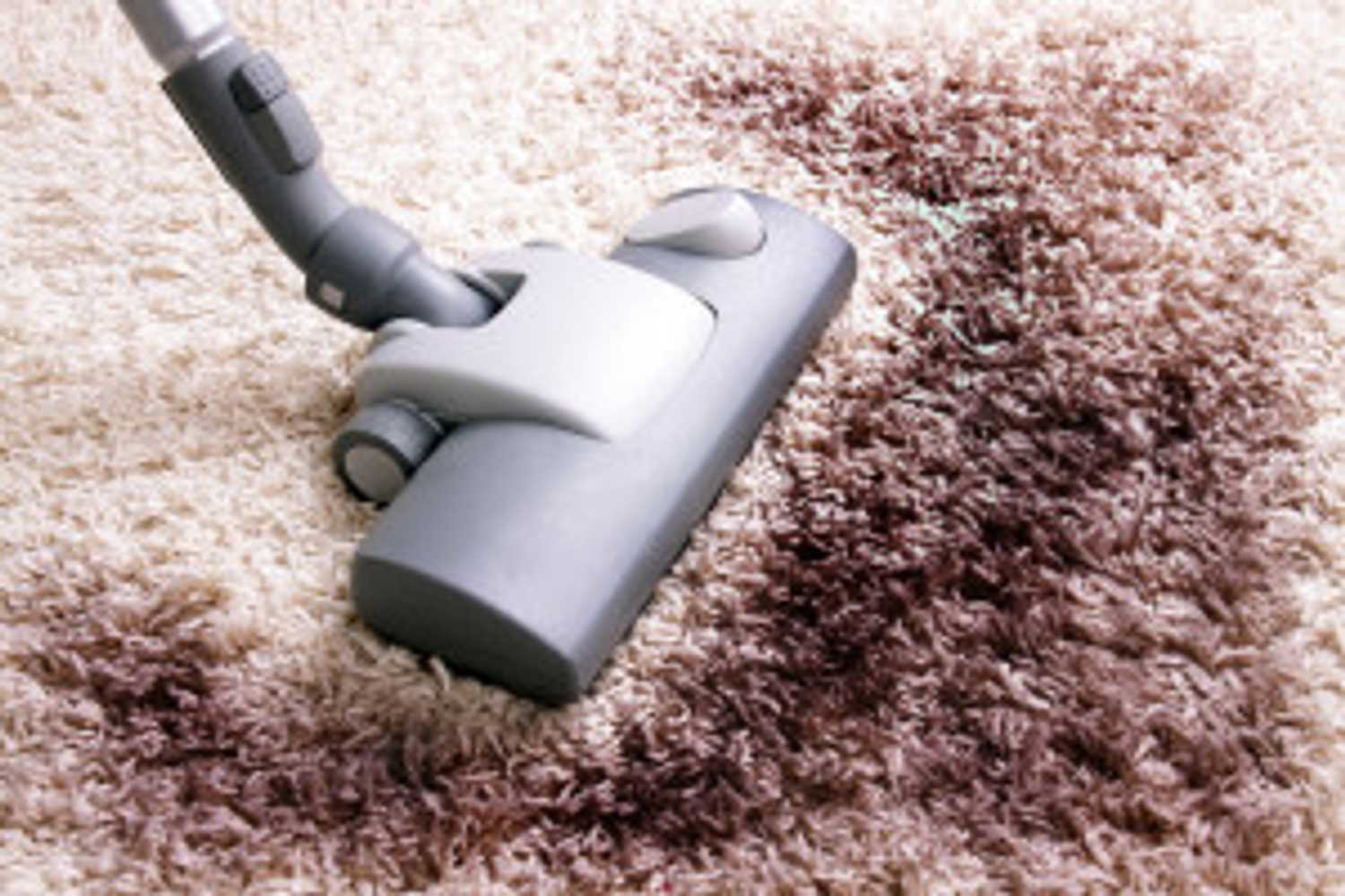 Connecticut Carpet Cleaning