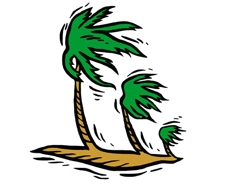 Tc Home Inspections Inc