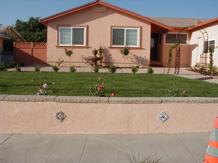 Palm Restoration Inc