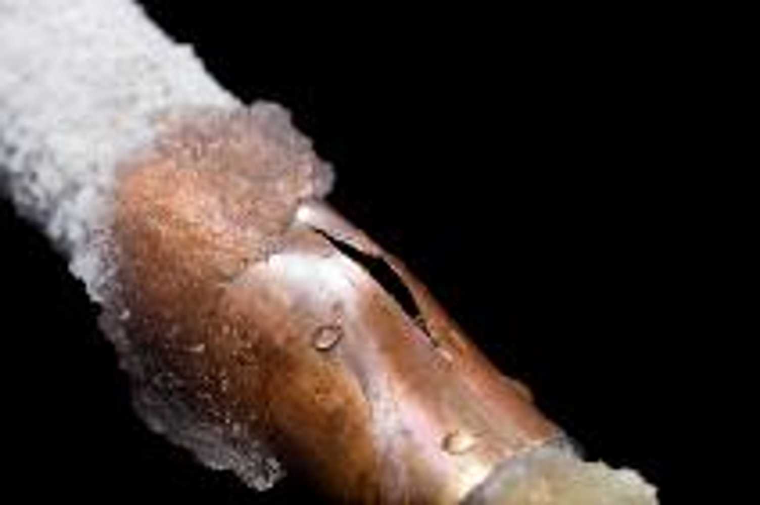 Photo(s) from Matt The Plumber