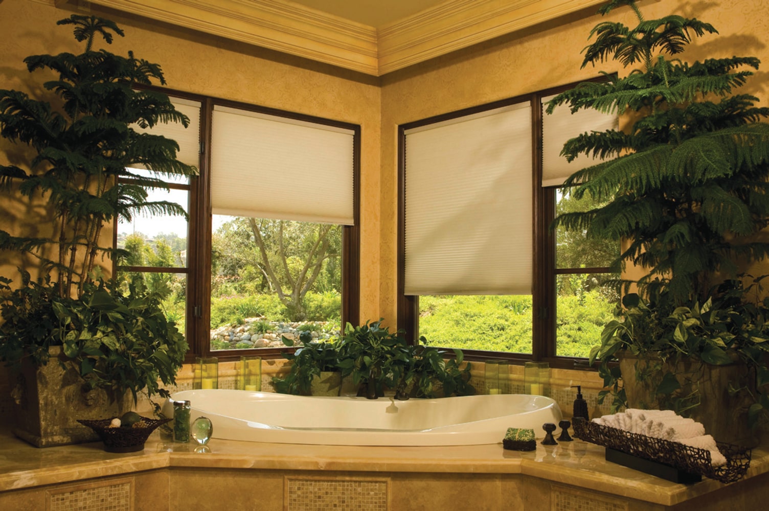 Norman's Assorted Gallery