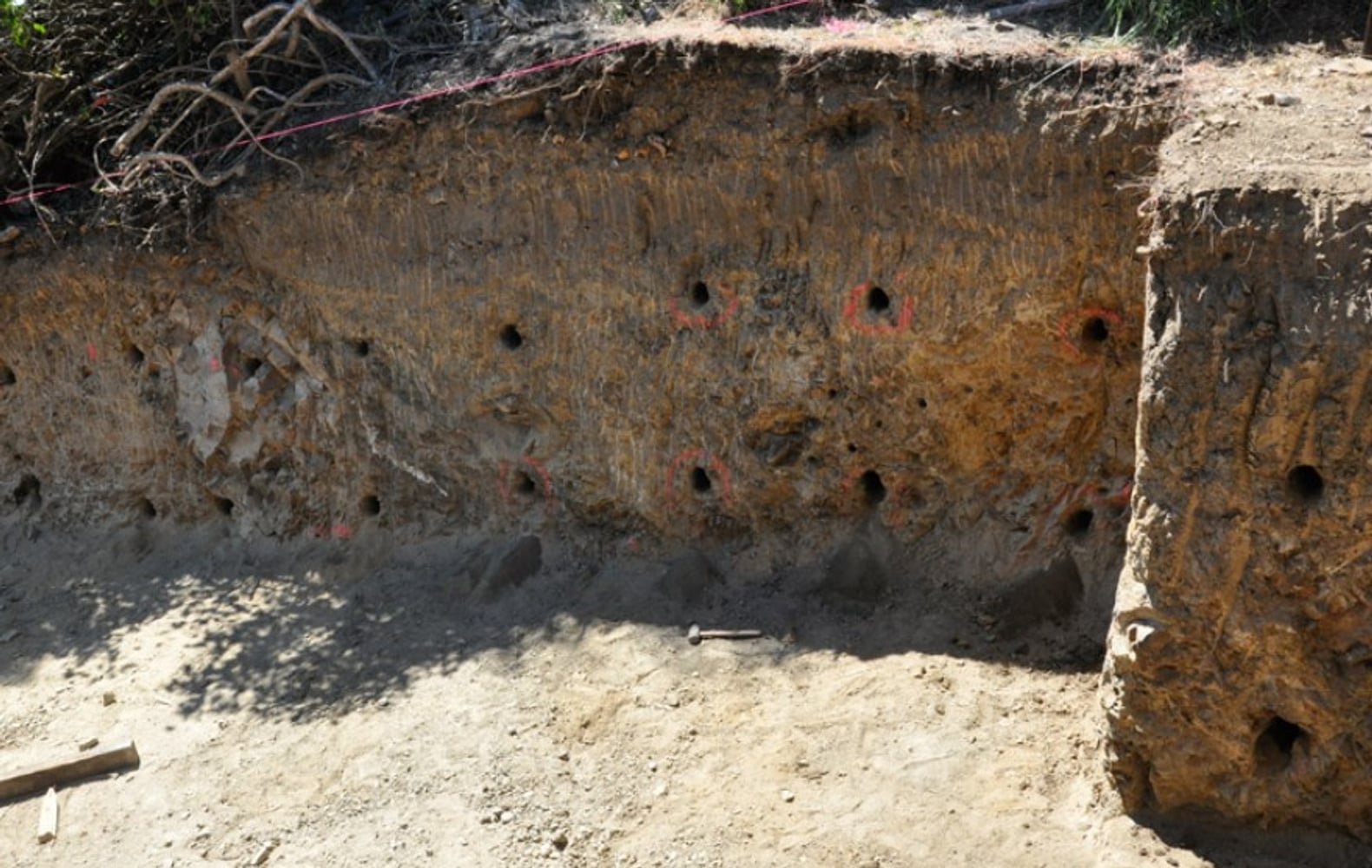 New Foundation (Mill Valley)