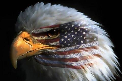 Mac Construction Plus Llc