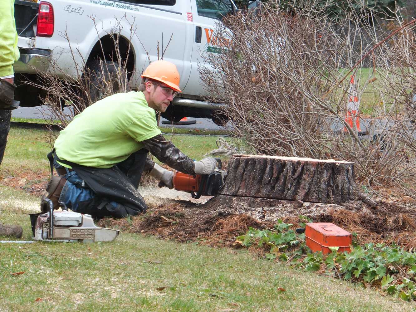 Photo(s) from Vaughan's Tree Service Inc