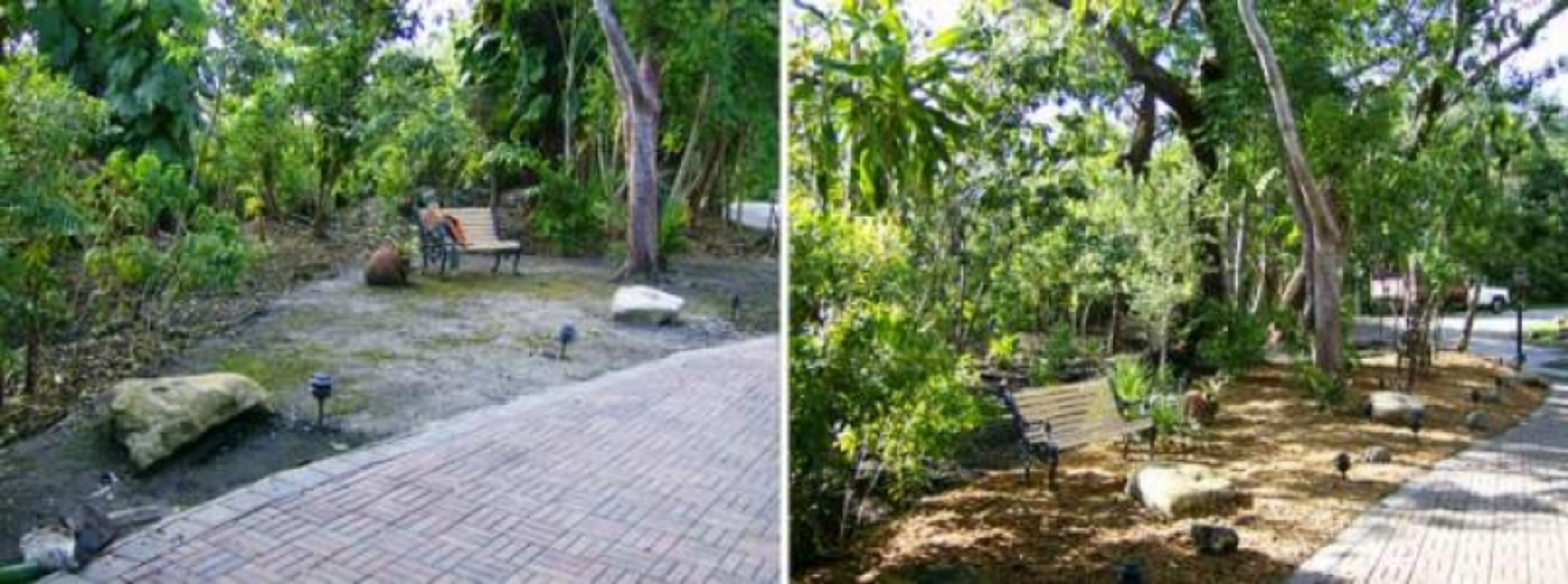 JW Landscaping Gallery