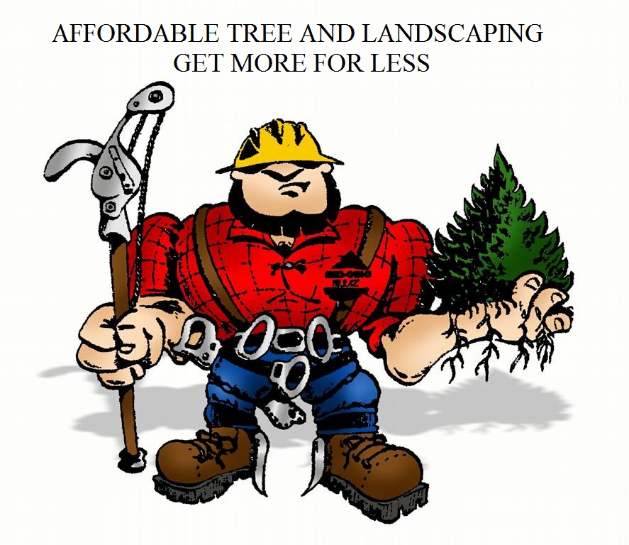 Affordable Tree And Landscaping