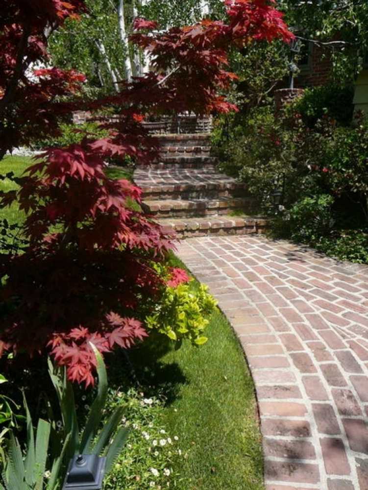 Landscape Designs