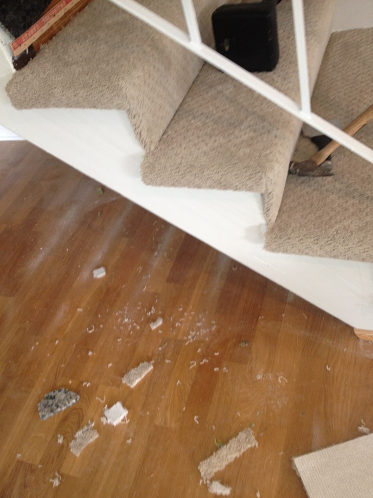 Hals Carpet & Vinyl Project