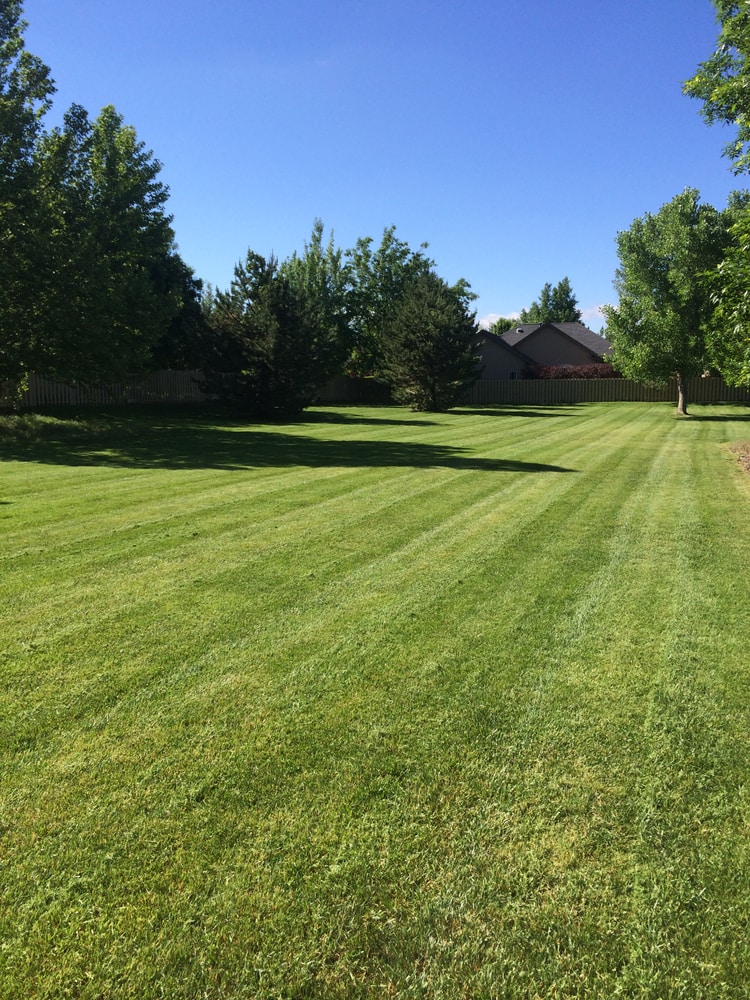 Lawn Care & Maintenance