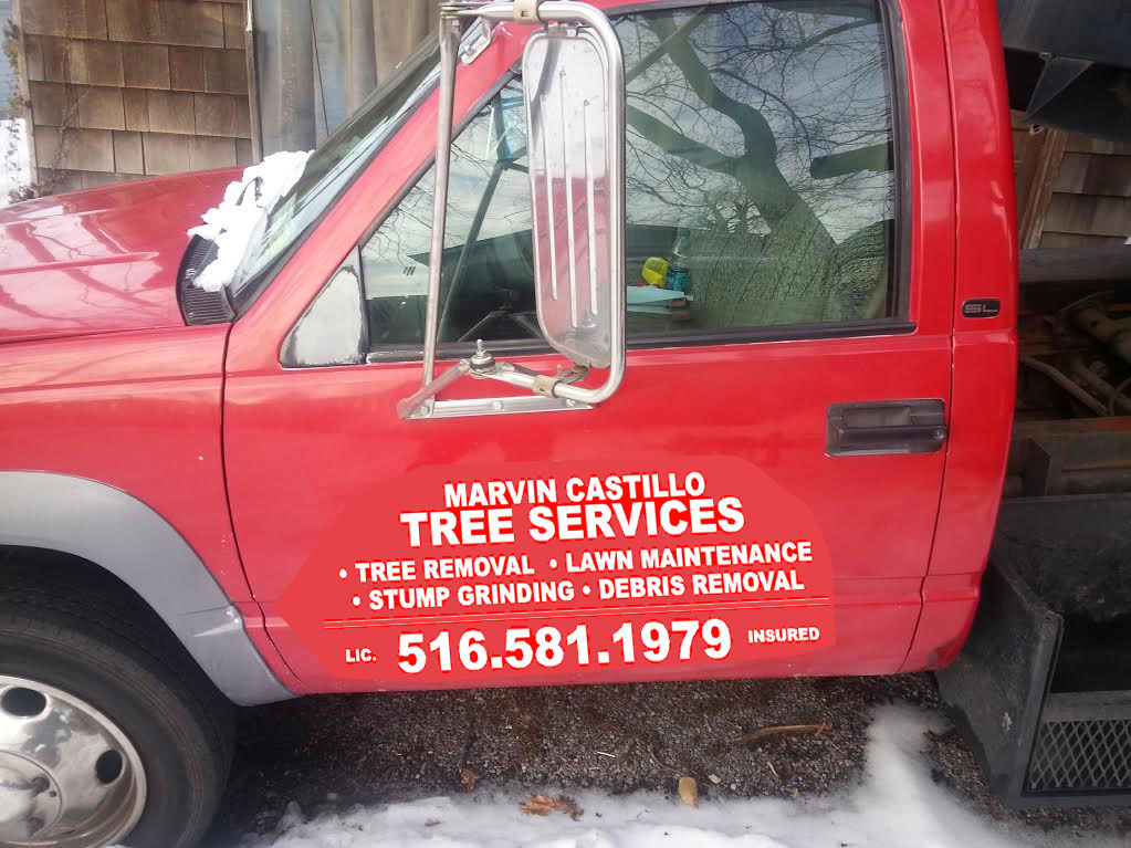Marvin Castillo Tree Services