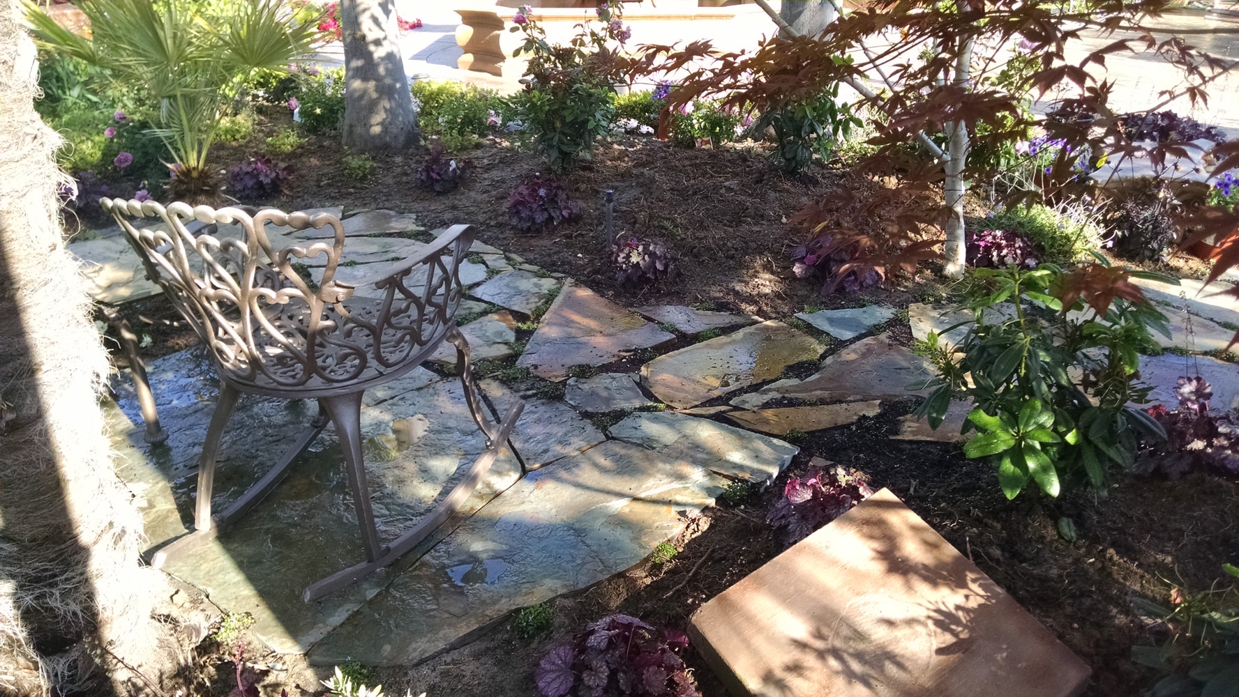 My Landdcape Design and Projects