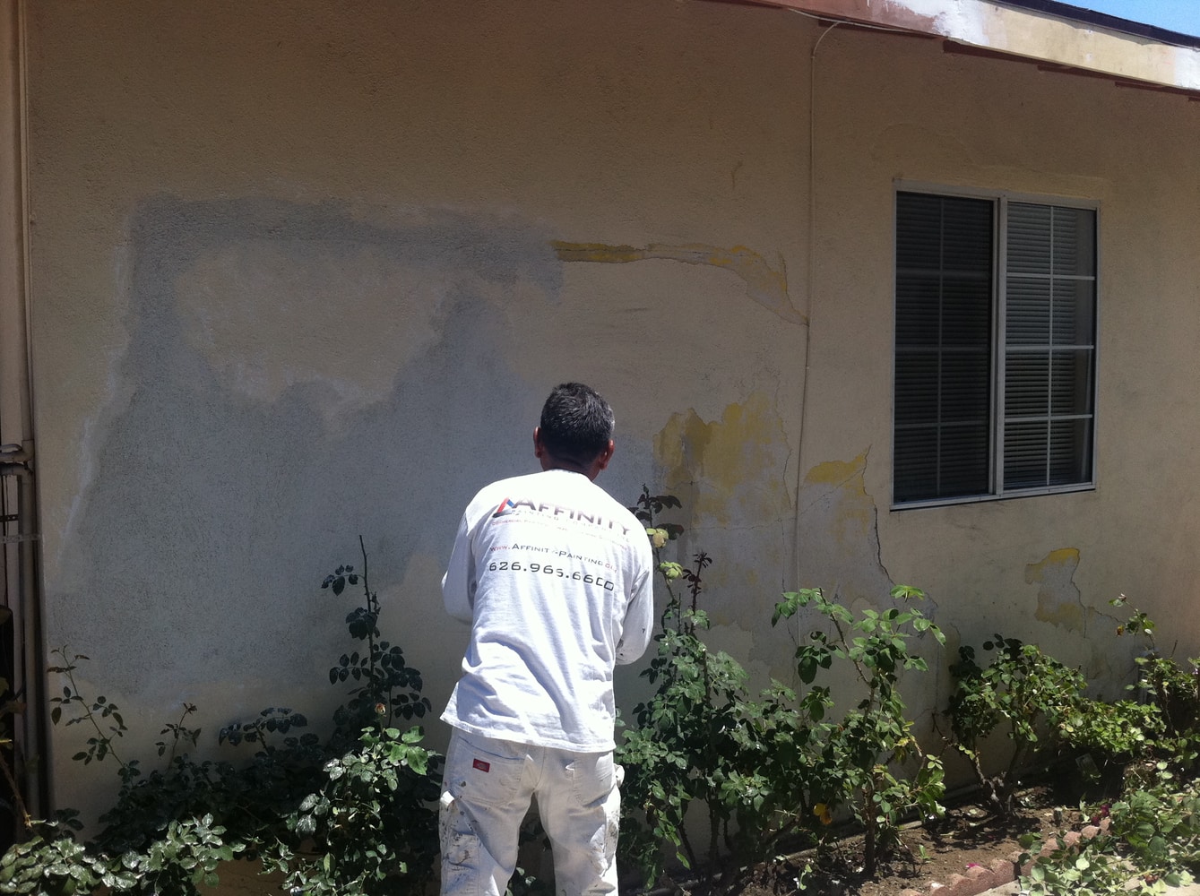 Projects by Affinity Painting Inc.