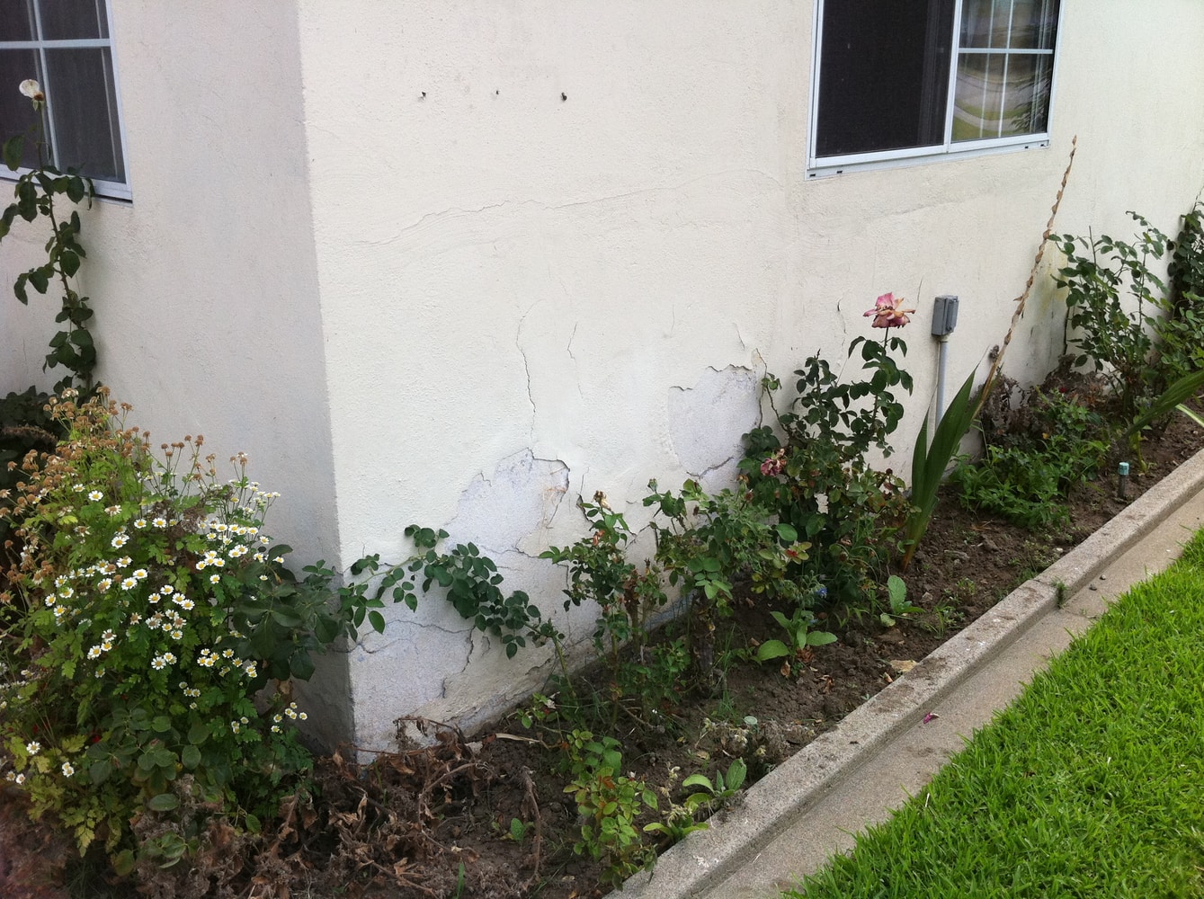 Projects by Affinity Painting Inc.