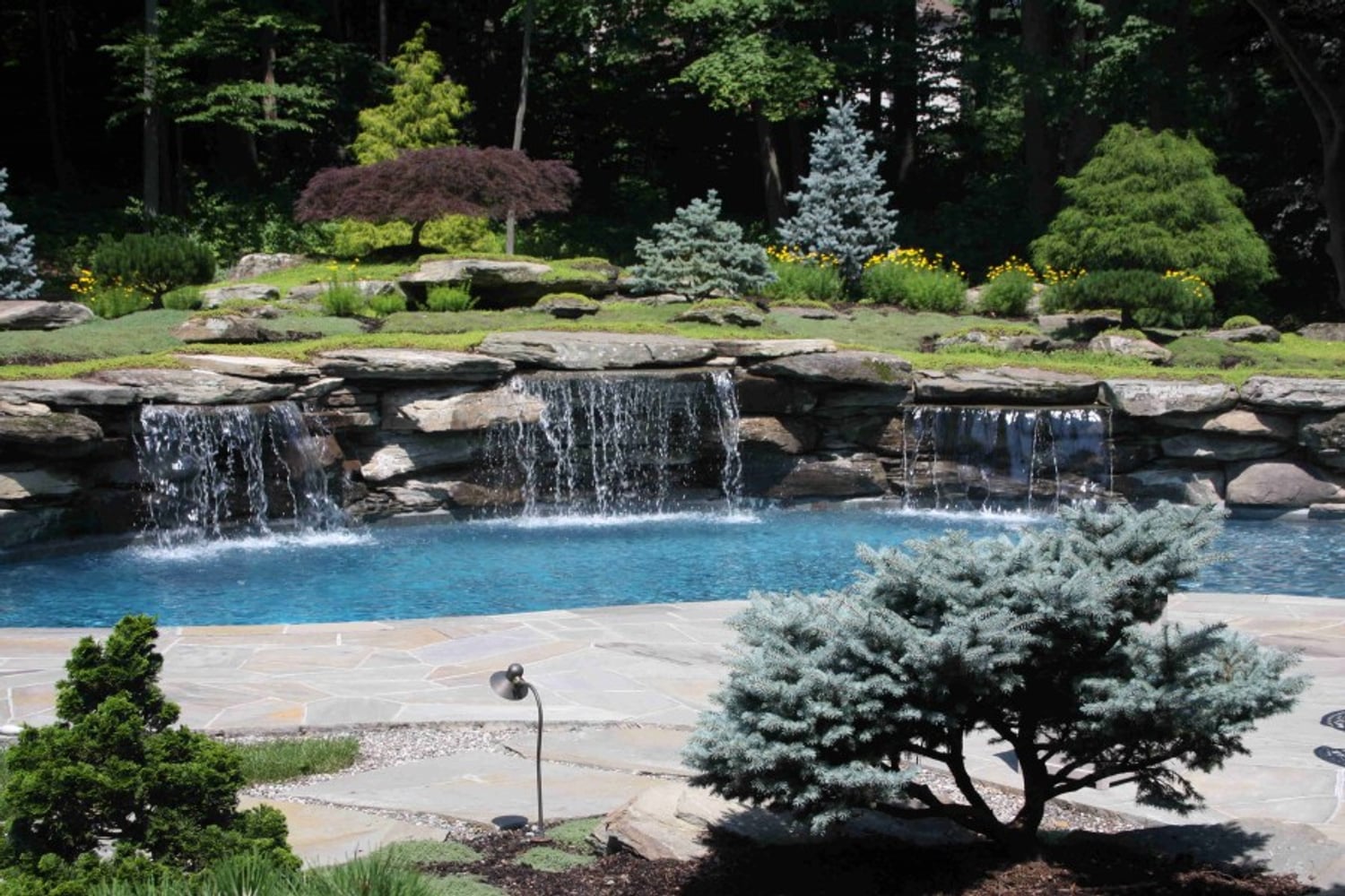 Photo(s) from Russ Fragala Landscape Corp