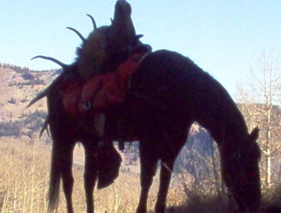 Mclachlan And Sons Concrete Llc