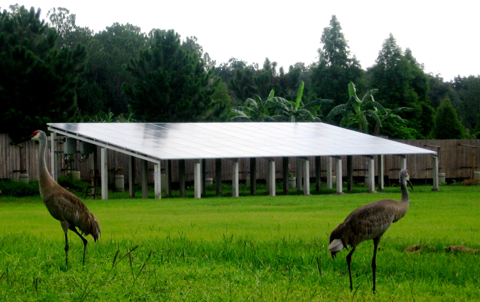 Projects by Dioko Solar Energy Installers Inc