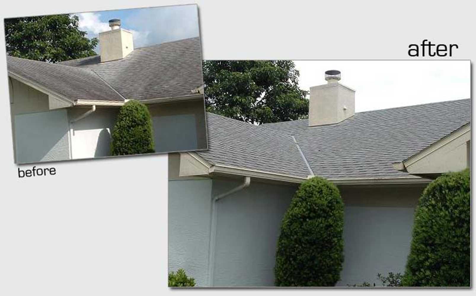 House Painting Services | Roof Cleaning Services | Pressure Washing Services Berks County PA