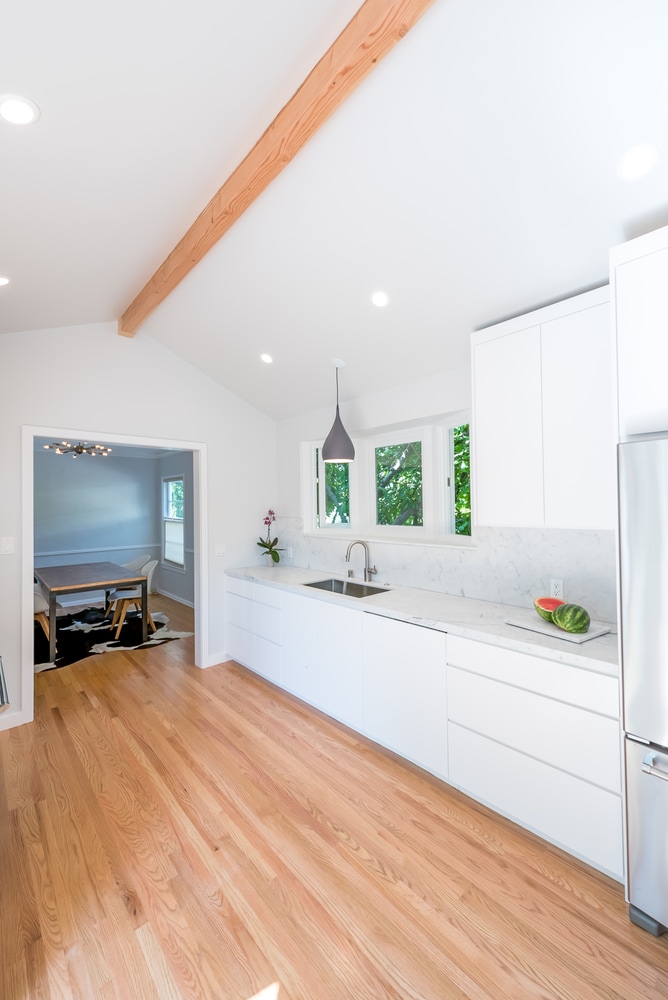 SilverLake Kitchen Remodel