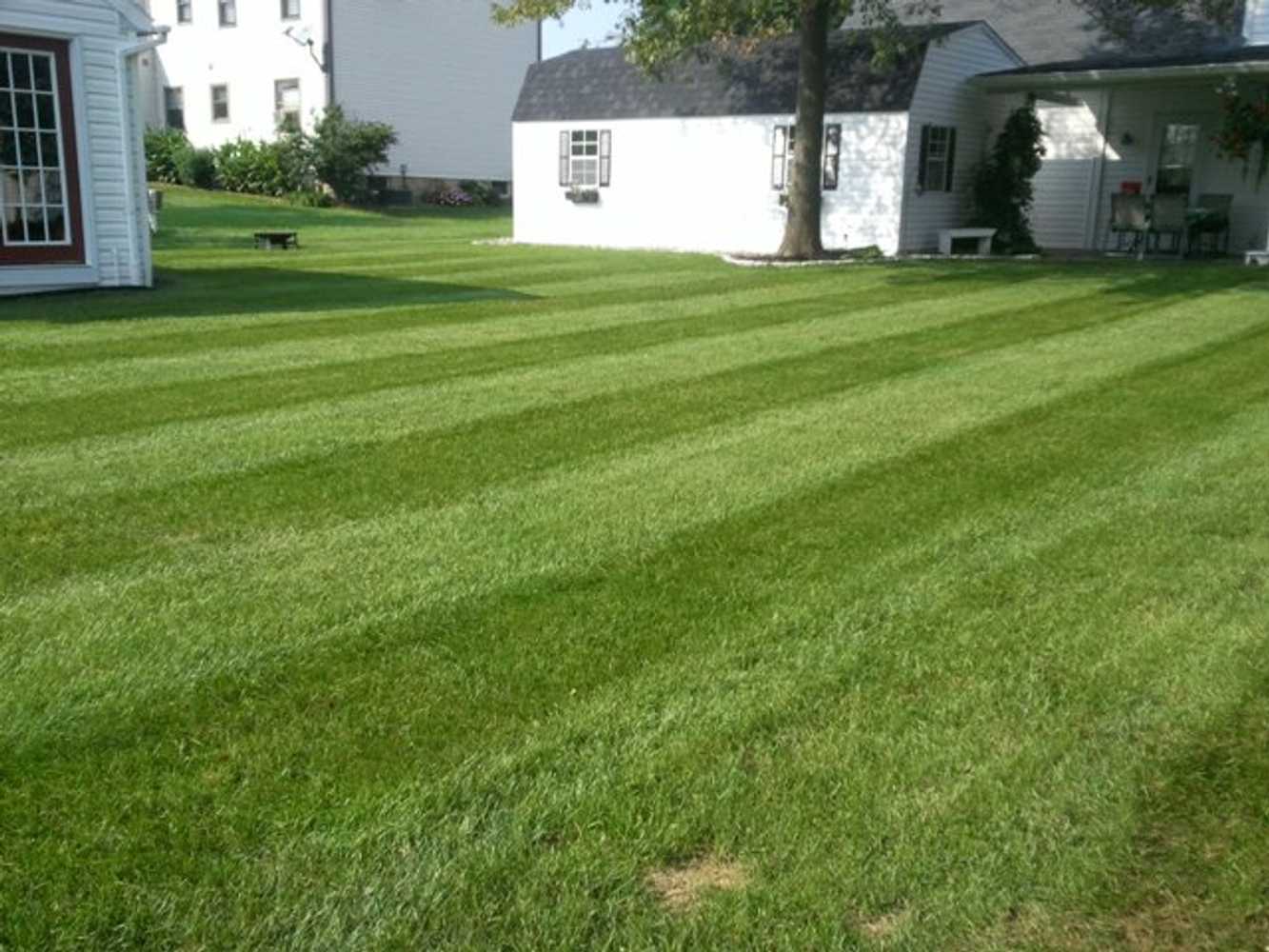 Stadel Lawn And Landscaping, Inc