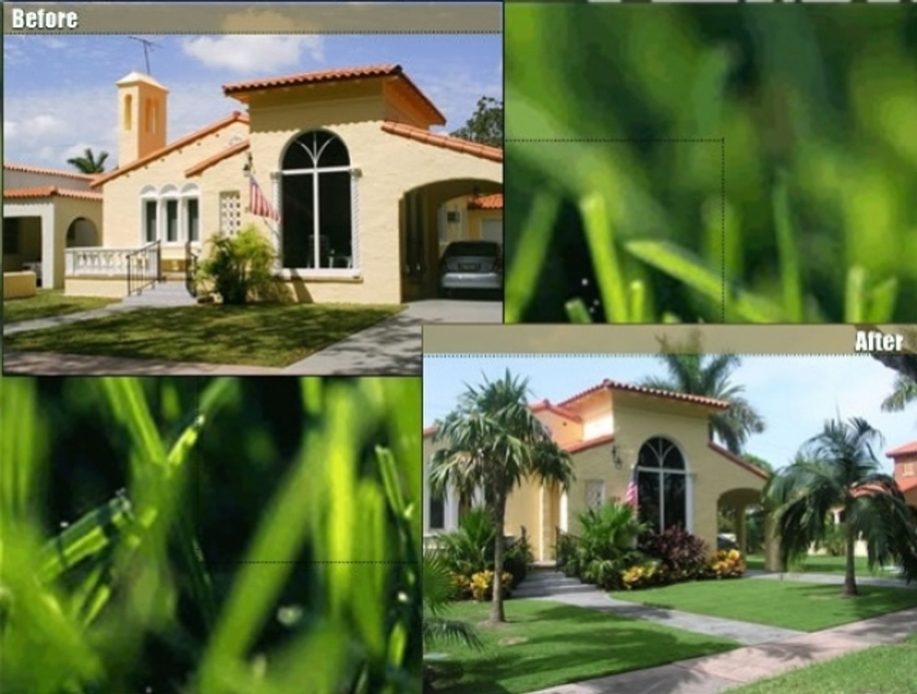 Landscape Design & Installation