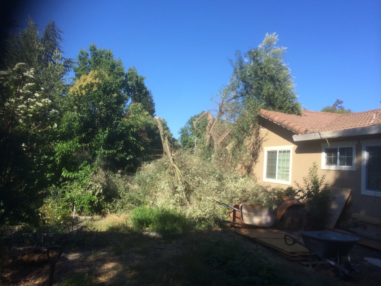 Addition & Remodeling 1