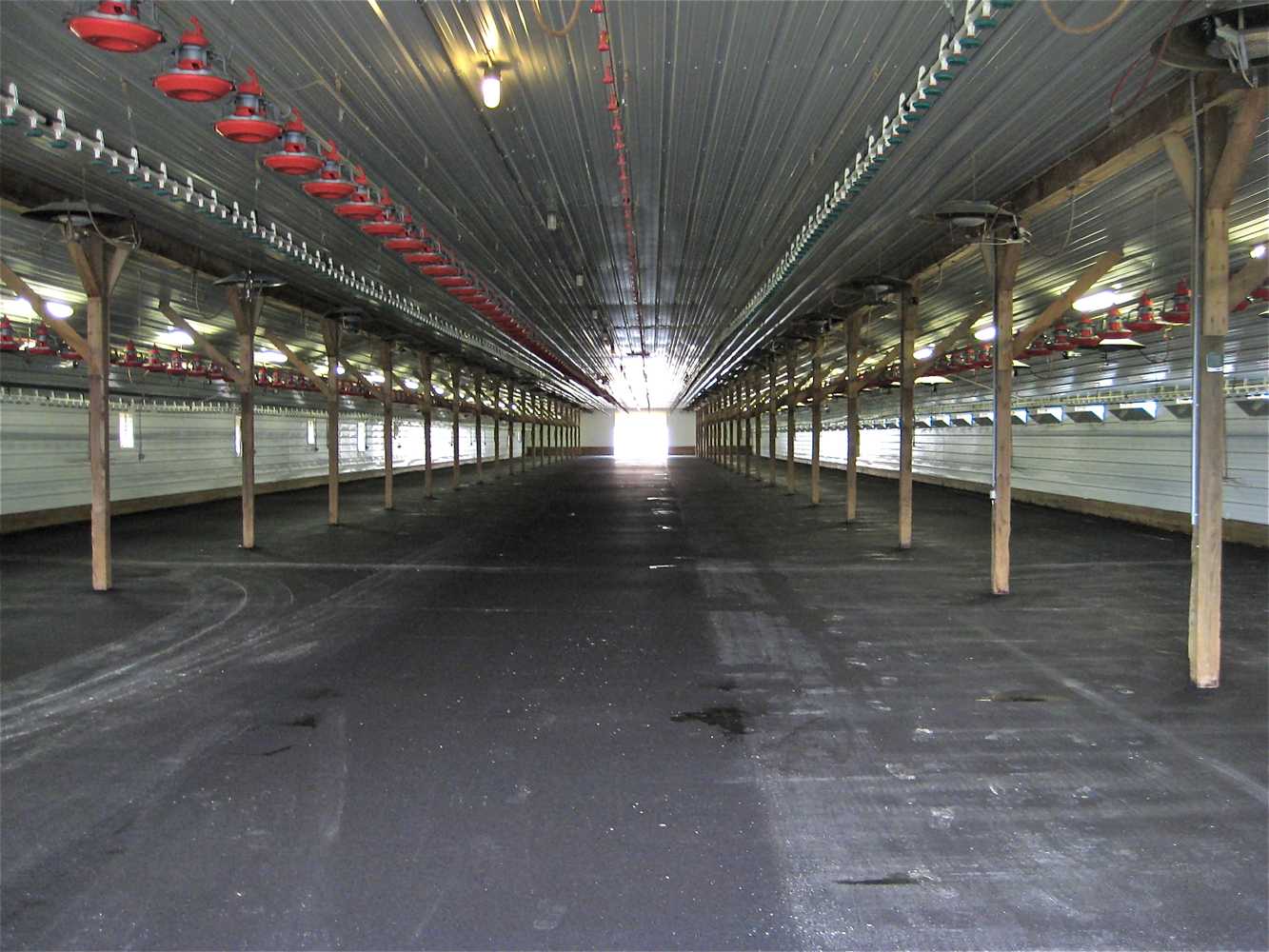 B W Blacktopping Contractors 