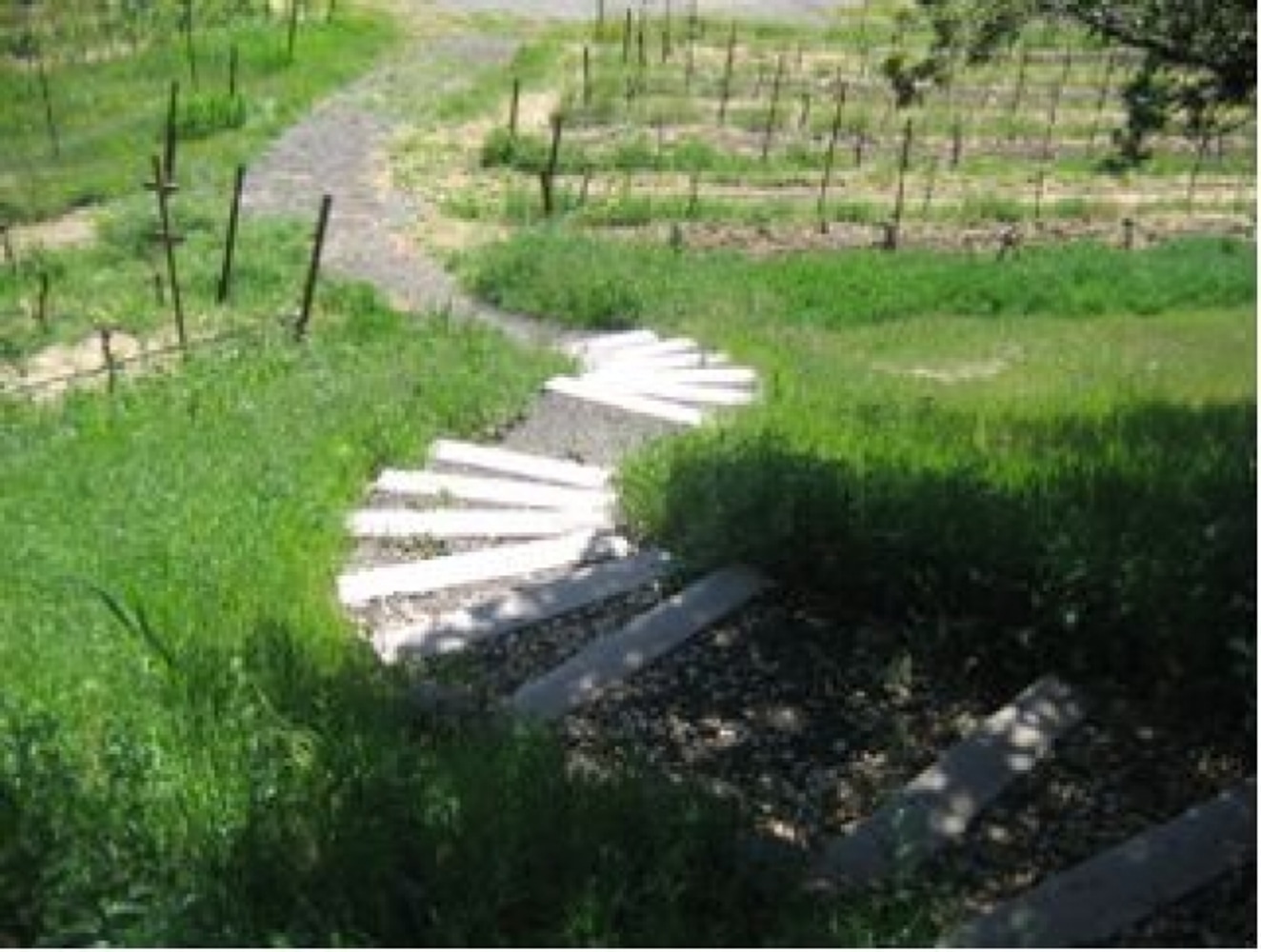 Sonoma County vineyard hardscaping