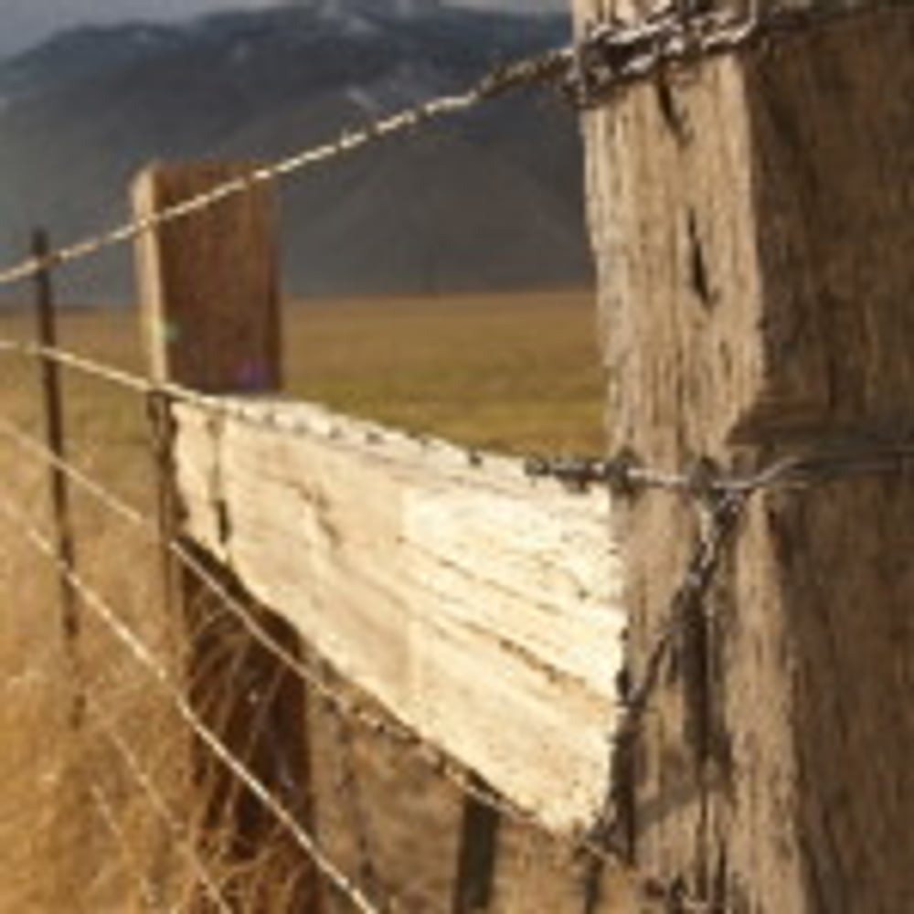 Photo(s) from All West of Colorado Tree service, Fence and Landscaping