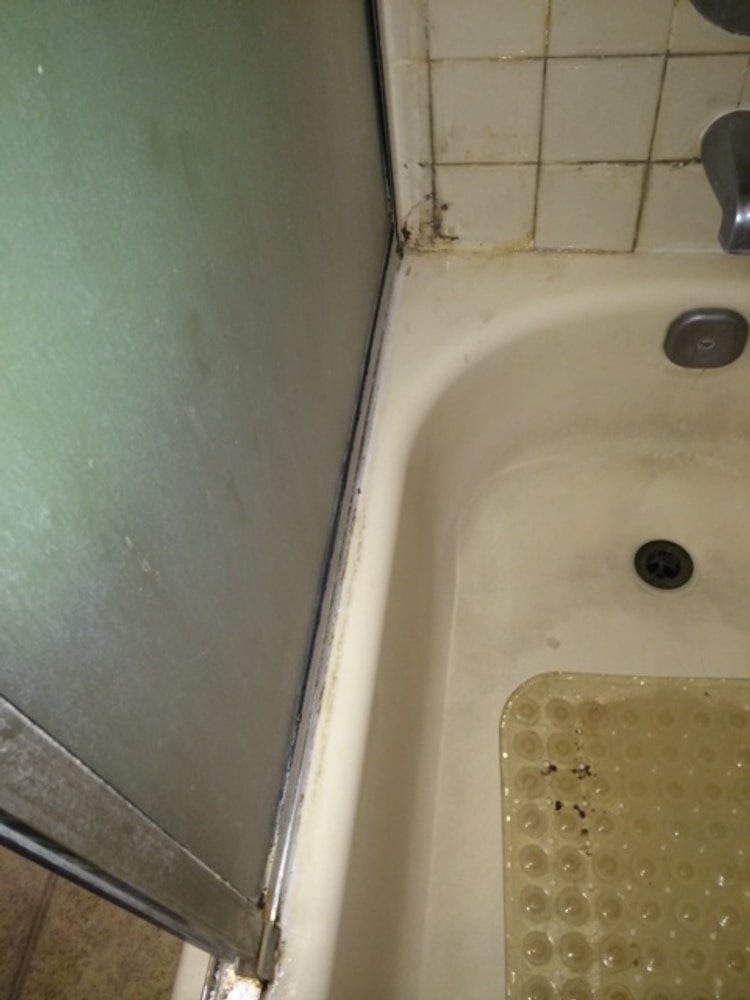 Photo(s) from Global Prevention Services, Inc.