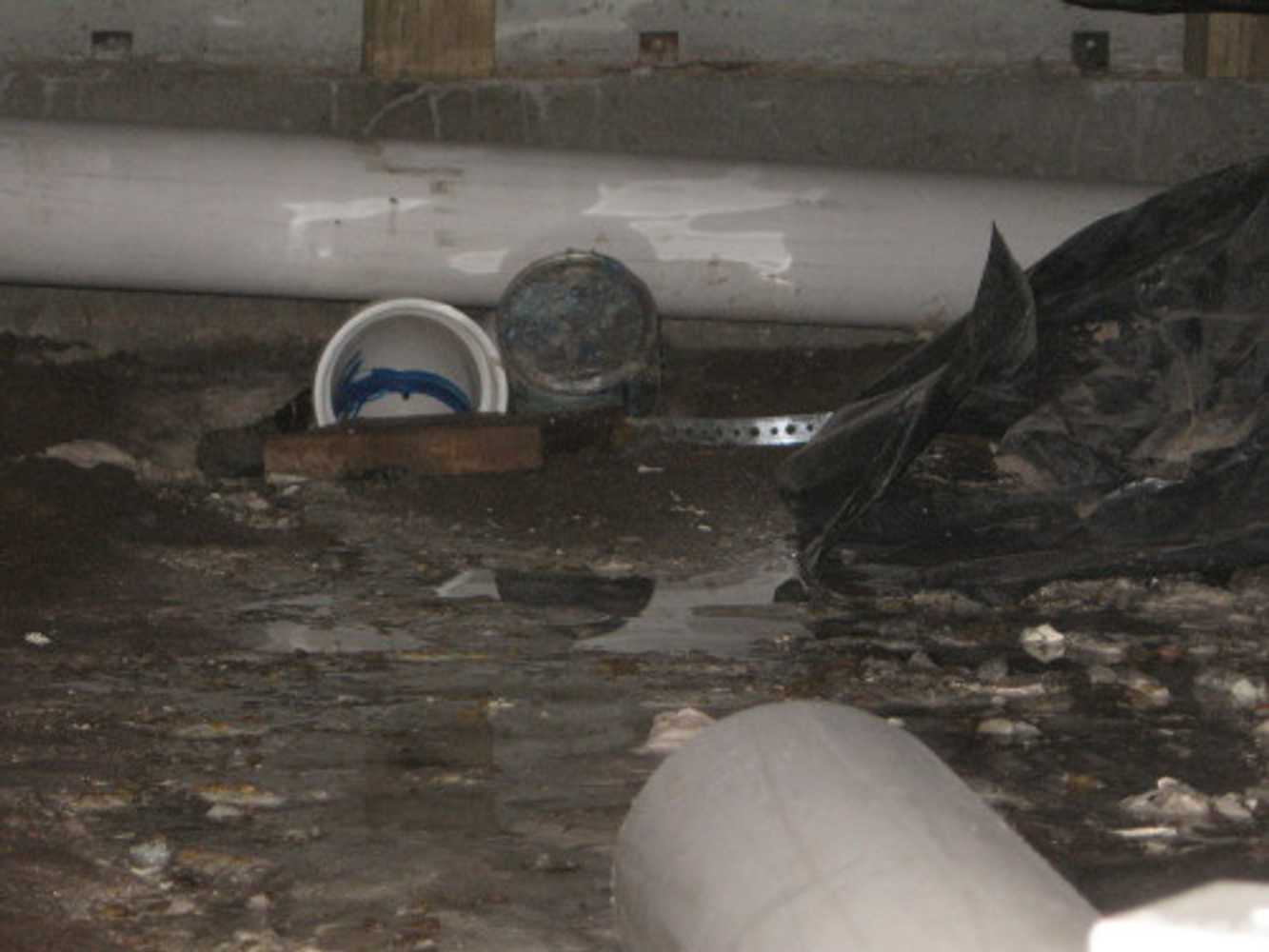 Photo(s) from Bent Nail Inspections