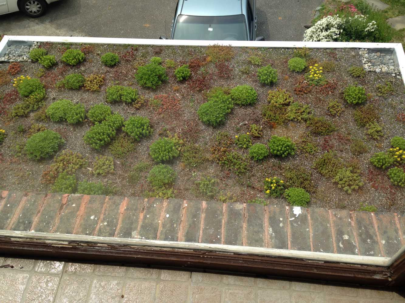 Vegetated Roofs