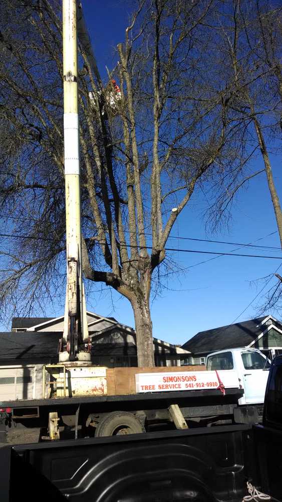 Photo(s) from Simonson Tree Service Llc