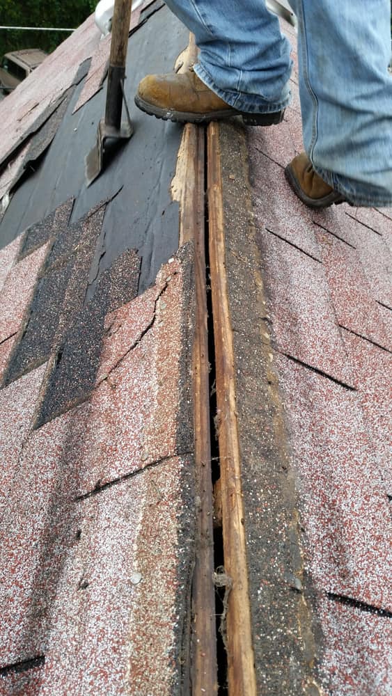 Photo(s) from Wannamaker Customs