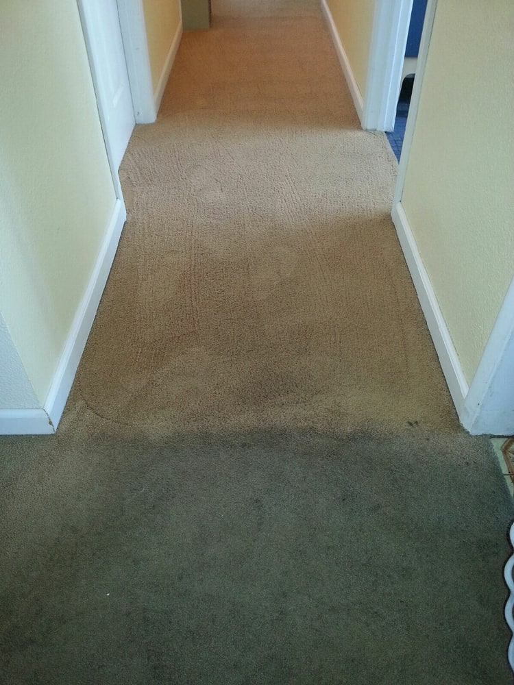 Photo(s) from Tidy Rug