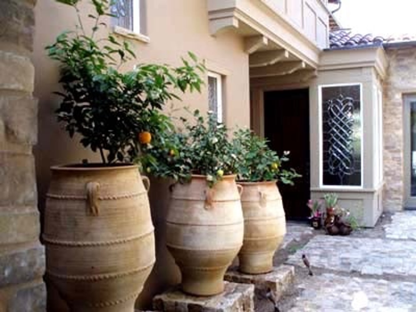 Design Build General Contractor