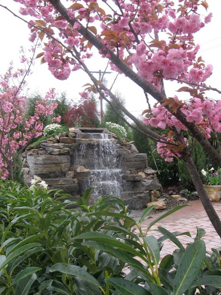 Pond & Waterfall Portfolio