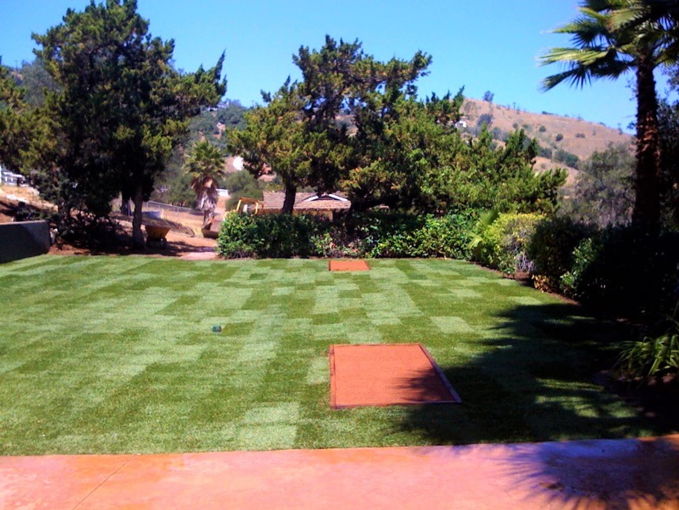 Photos from Newcomb Tree Experts Inc