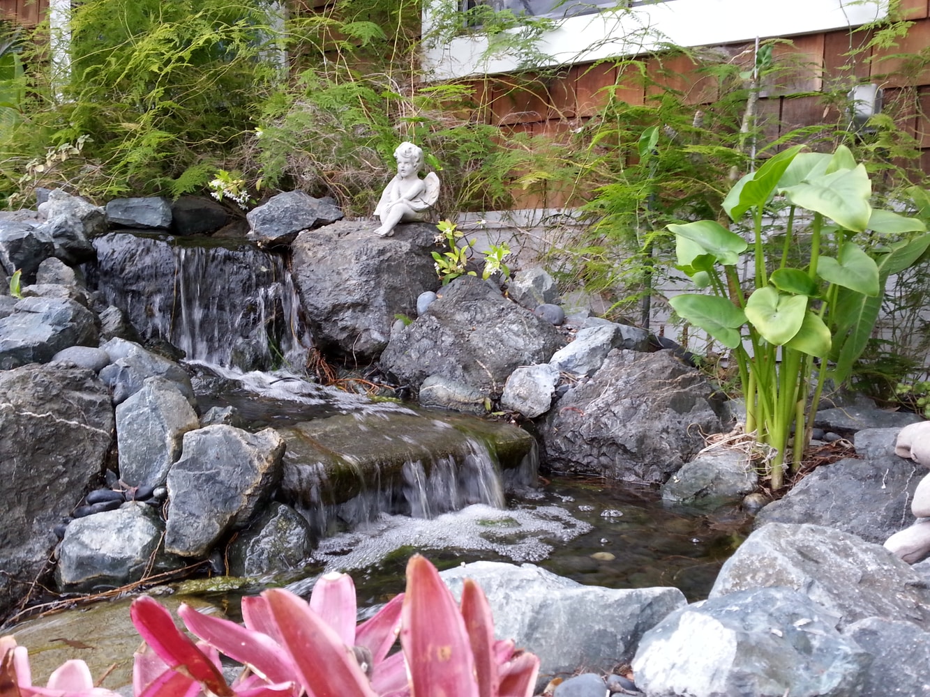 Landscaping in Malibu