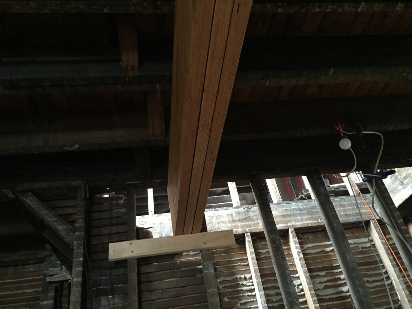 Photos from David Sisko