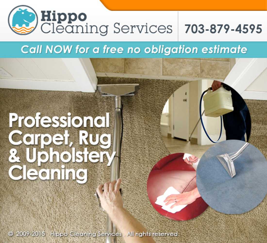 Carpet Cleaning Project in Springfield VA 