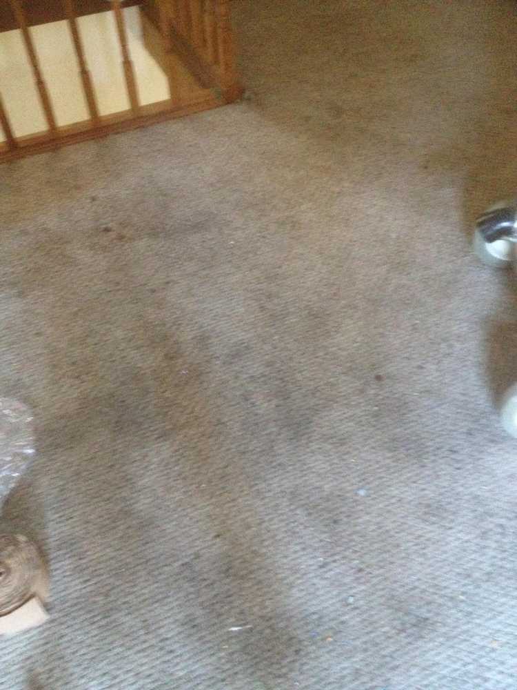 carpet cleaning and repair